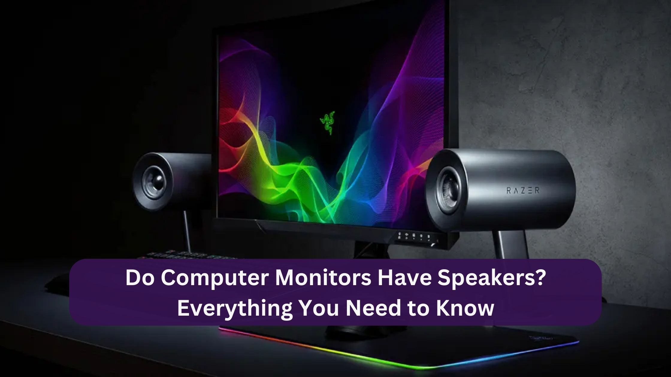 Do Computer Monitors Have Speakers?